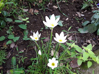 20190901_132031.jpg