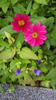 20200915_124902.jpg