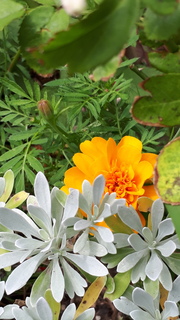 20200922_124402.jpg