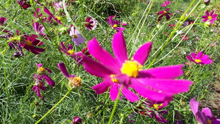 20201007_102231 (1).jpg
