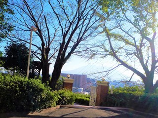20201013_150105 (3) - コピー.jpg