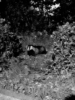 20201016_120636 (1).jpg
