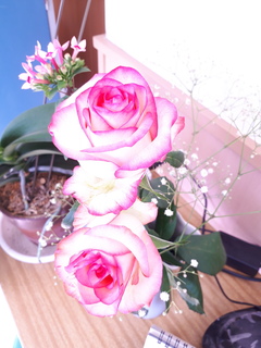 20201030_111510.jpg