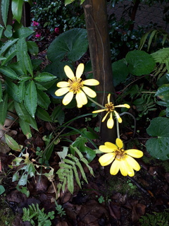 20201120_083000.jpg